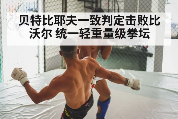 boxing fight
