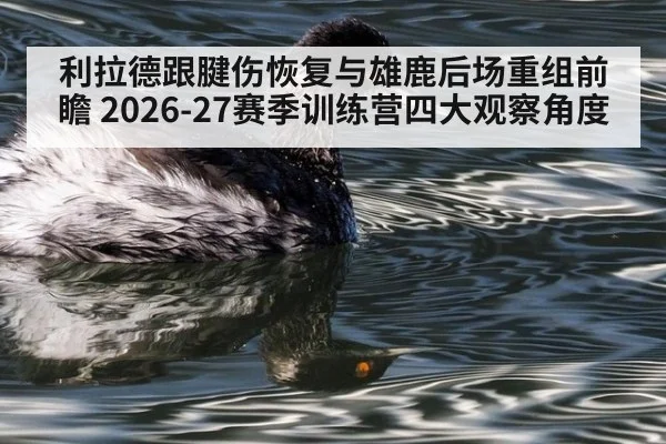 利拉德跟腱伤恢复与雄鹿后场重组前瞻 2026-27赛季训练营四大观察角度